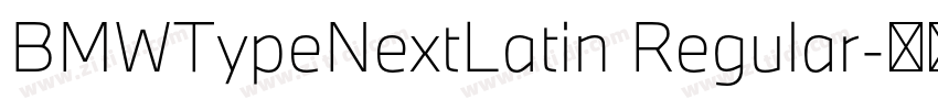 BMWTypeNextLatin Regular字体转换